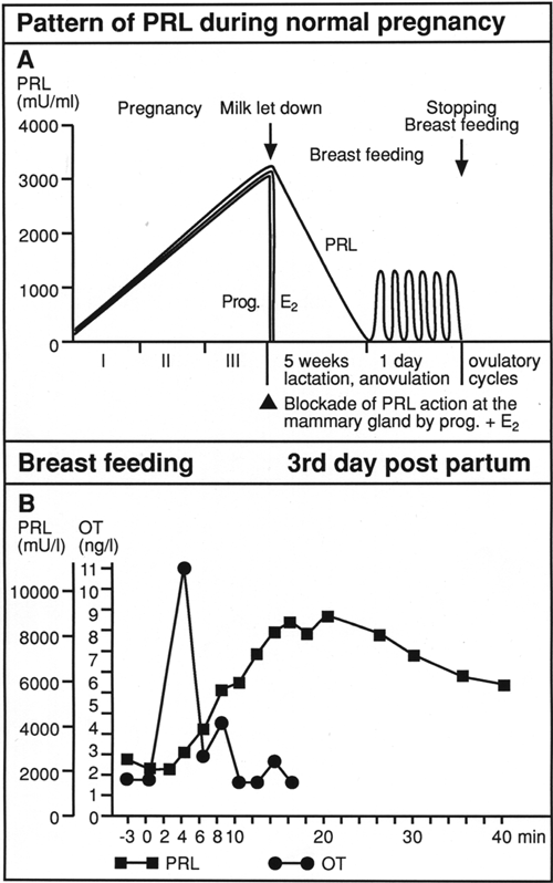 fig 3 course of the prolactin levels during pregnancy prolactin levels in pregnancy chart
